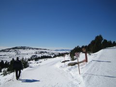 Auf Piste